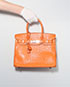Birkin 30 Ostrich Skin in Orange, front view